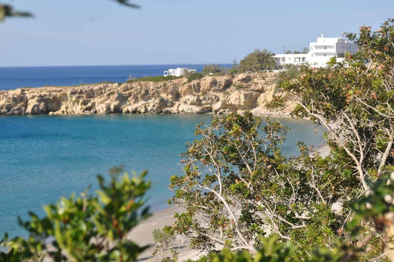 Beachfront Villa On Crete - Kirvas, Member Of Pelagaios Villas Кутсунари Экстерьер фото